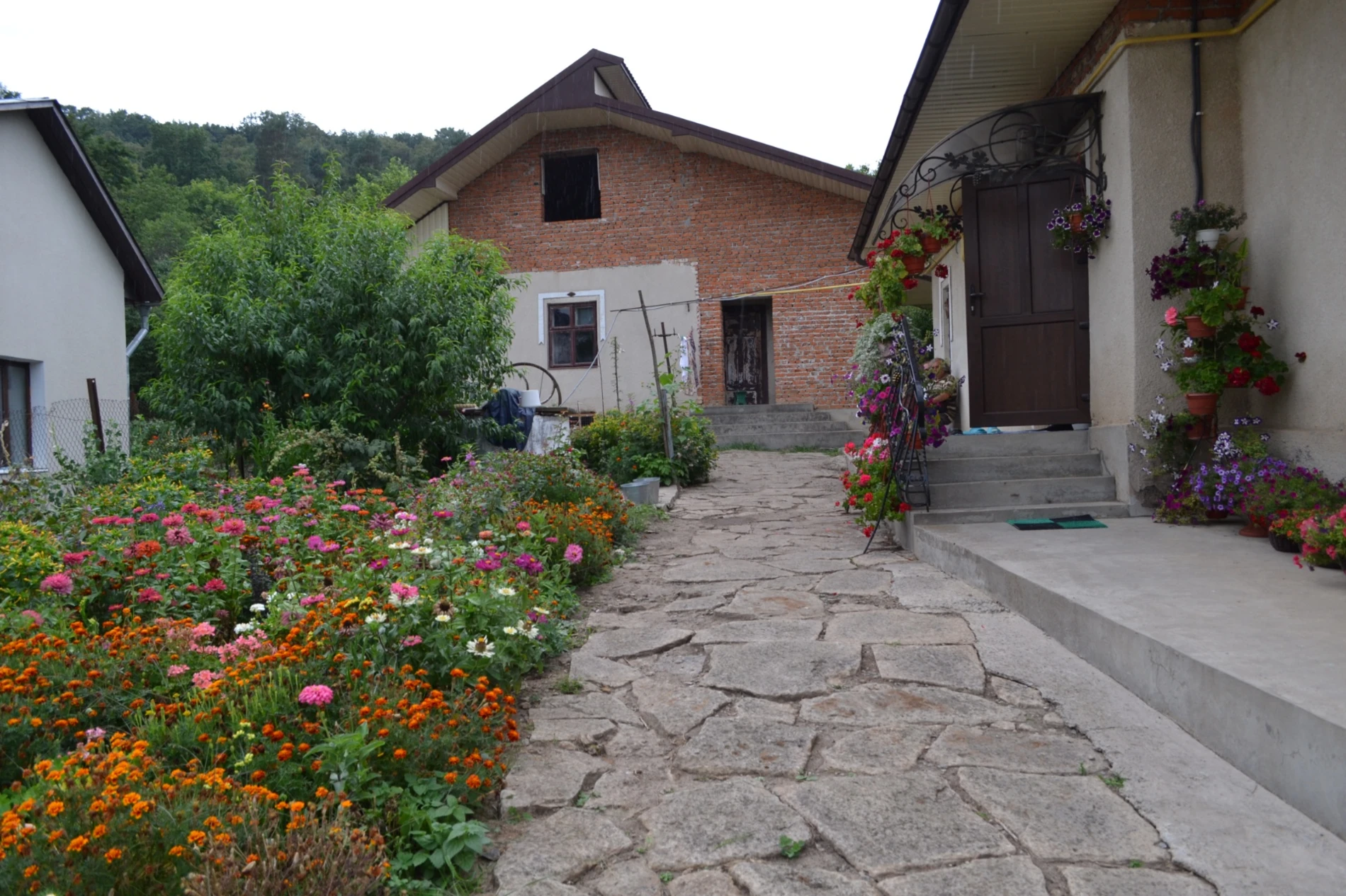 З Добровілля – в Бердо: там, де навіть квіти допомагають жити