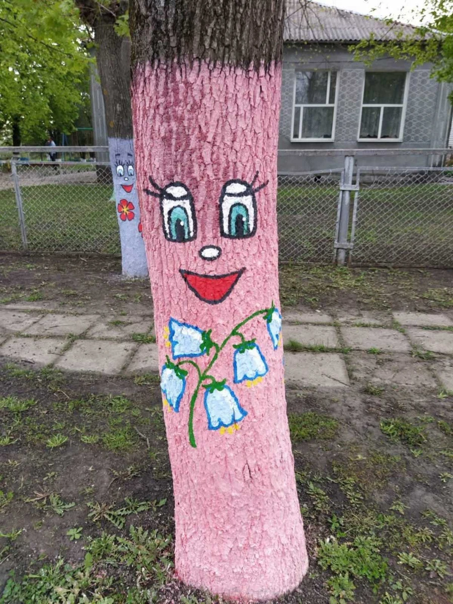 З Добровілля – в Бердо: там, де навіть квіти допомагають жити