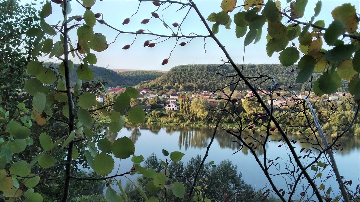 Буковинське село Дорошівці