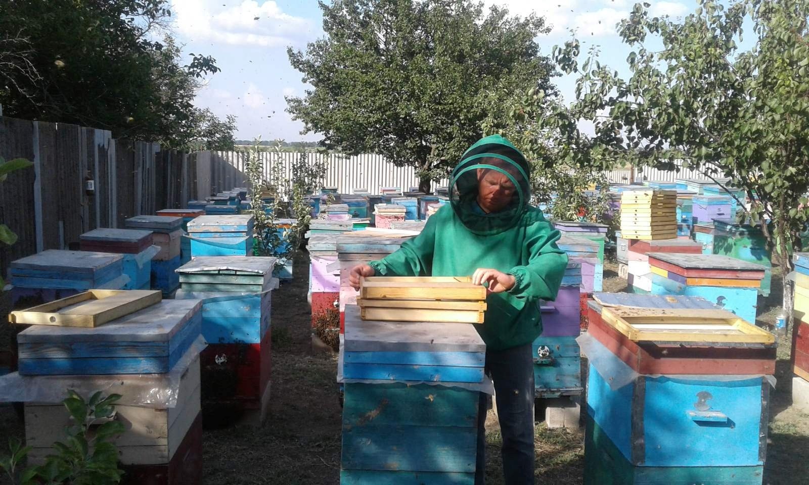 Війна змусила їх покинути все і вдруге віднайти прихисток на Чортківщині