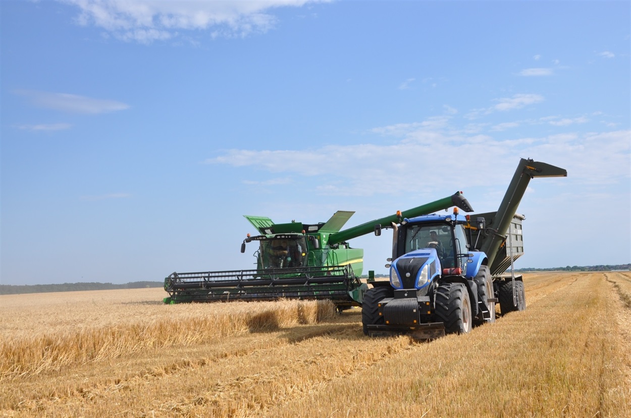 Жнива у ПСП «Ягільниця-В»