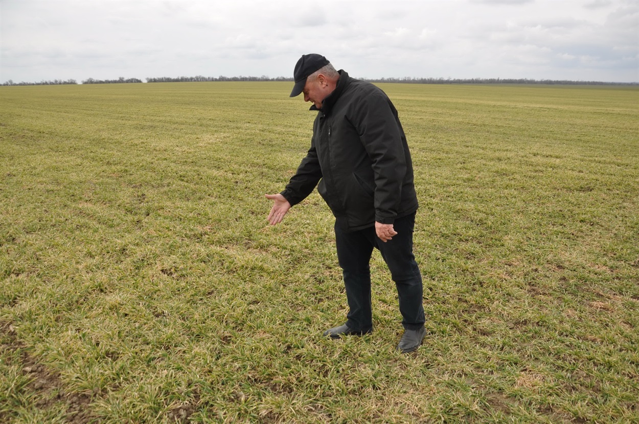 Директор ПАП «Нічлава» Володимир Заліщук